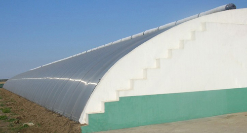 綠萌種植基地蔬菜大棚建設(shè)預(yù)計(jì)將達(dá)60個(gè) 綠萌種植基地蔬菜大棚建設(shè)預(yù)計(jì)將達(dá)60個(gè)